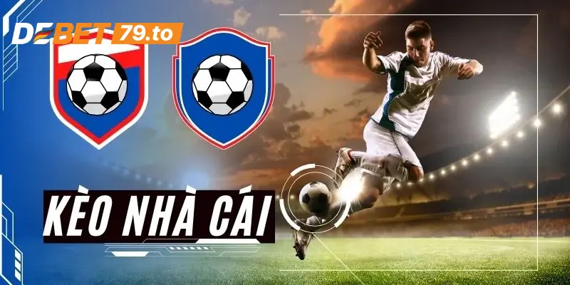 Các hình thức cá cược bạn có thể lựa chọn