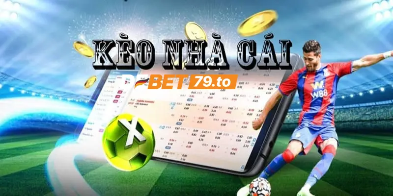 Tổng quan về tỷ lệ kèo nhà cái